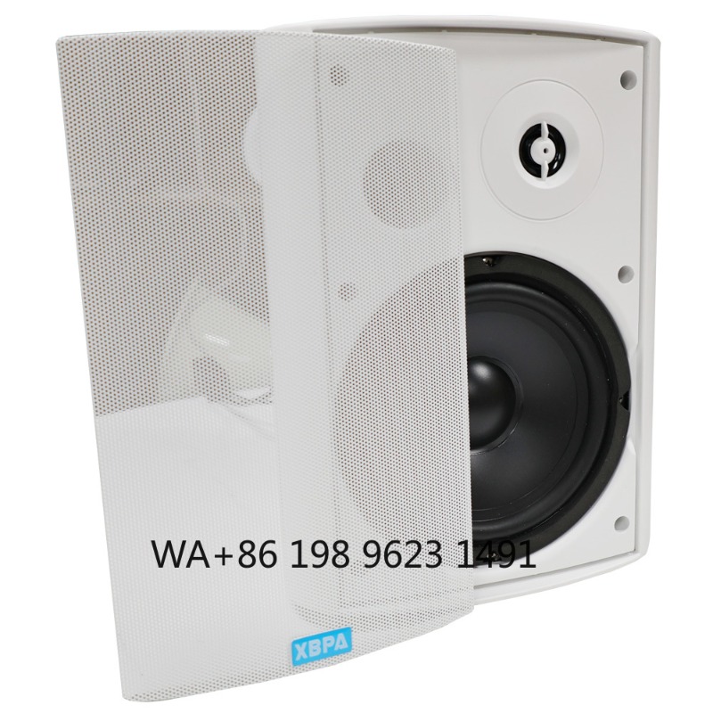 5.1 Wireless WiFi Wall Ceiling - đánh giá và giá Home Theater Speaker