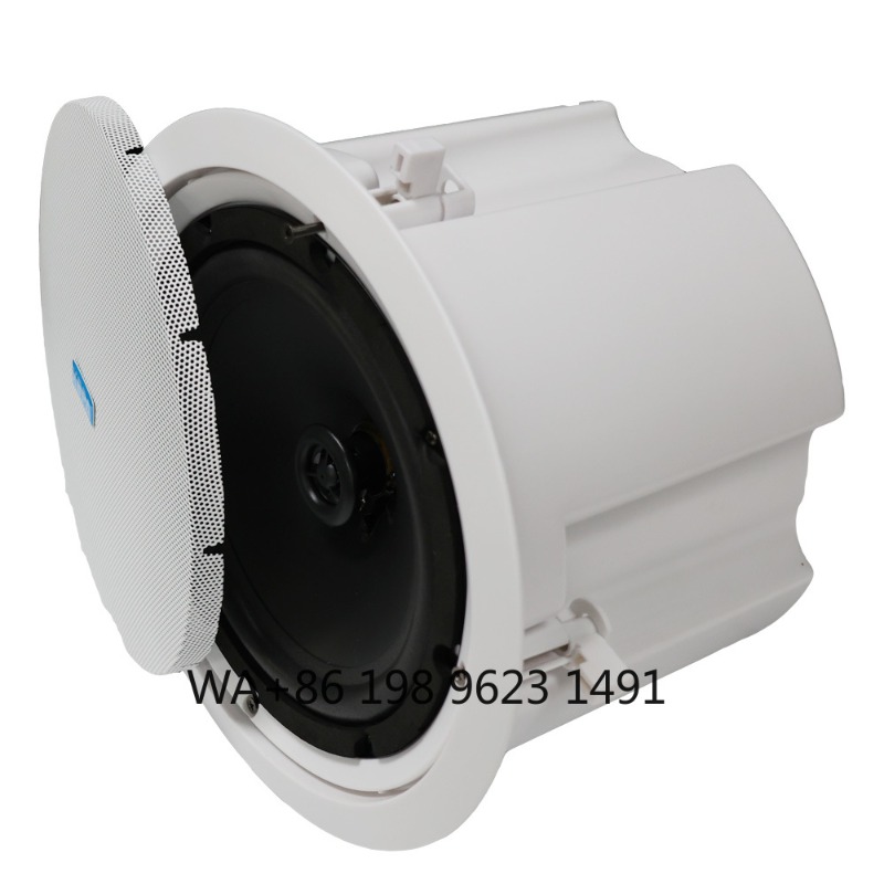 5.1 Wireless WiFi Wall Ceiling - đánh giá và giá Home Theater Speaker